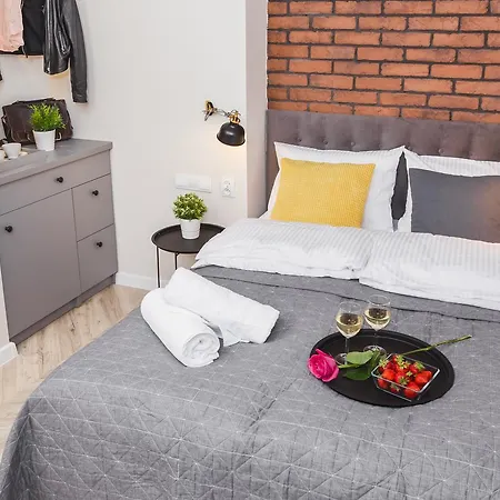 Agnes Old Town Apartment Krakau